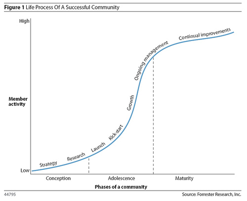 Online Community Strategy