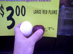 large red plum compared to an egg