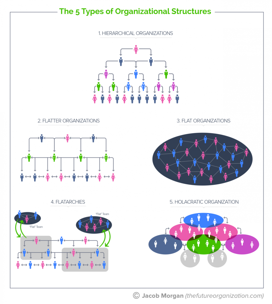 Diagrams Of Flatter Organizational Structure Organizational