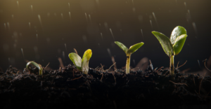 growth mindset future
