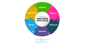 LIFE CYCLE
