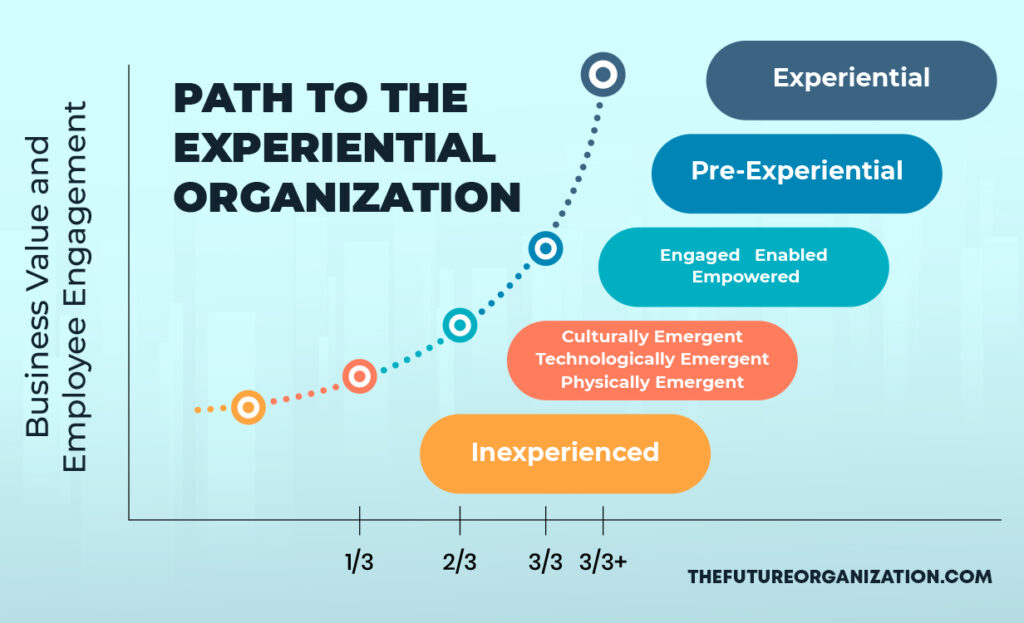 organization